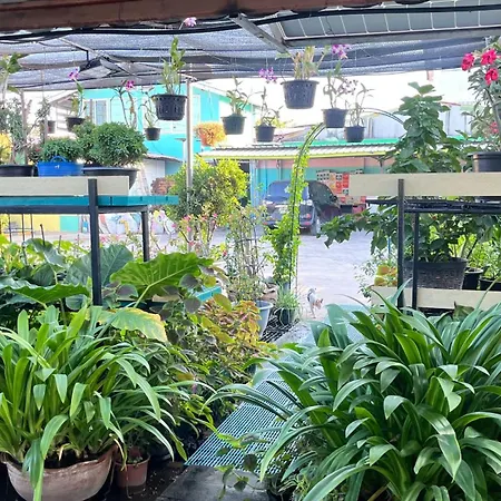 Pa Chalermchai Guesthouse